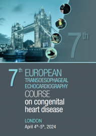 7th European Transoesophageal Echocardiography Course on Congenital Heart Disease